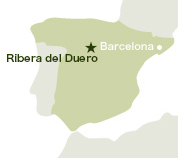 Ribera-del-Duero Map