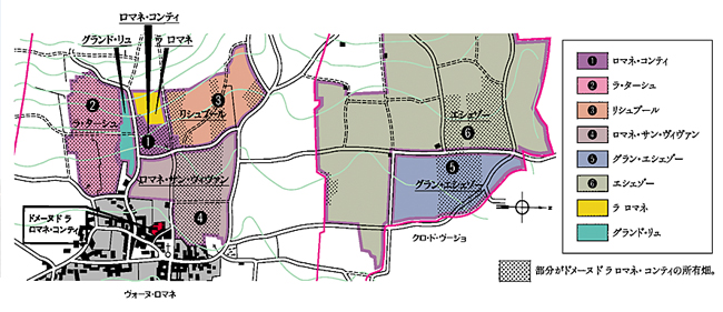 ドメーヌ ド ラ ロマネ コンティ Domaine De La Romanee Conti ワイナリー情報 ファインズ