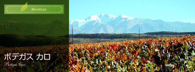 ボデガス　カロ
