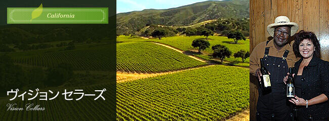 ヴィジョン セラーズ