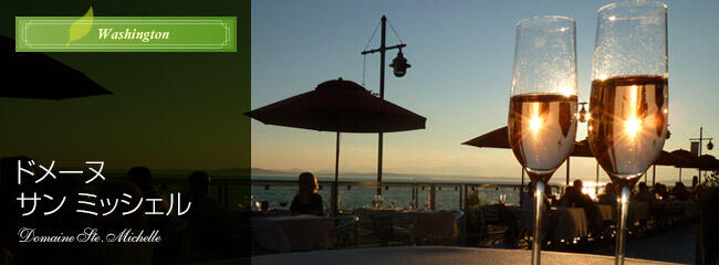 ドメーヌ　サン　ミッシェル