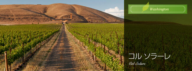 コル　ソラーレ