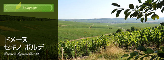 ドメーヌ セギノ ボルデ