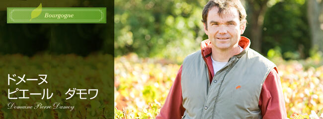 ドメーヌ　ピエール　ダモワ