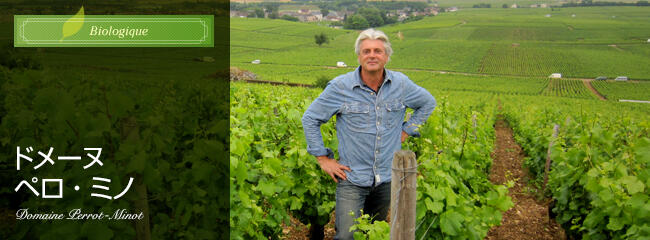 ドメーヌ ペロ ミノ
