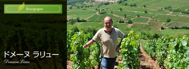 ドメーヌ　ラリュー