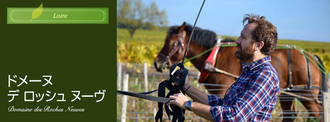 ドメーヌ デ ロッシュ ヌーヴ