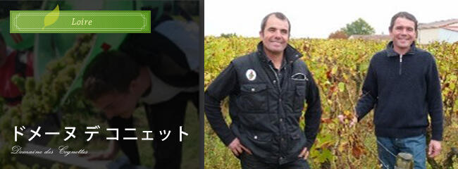 ドメーヌ デ コニェット