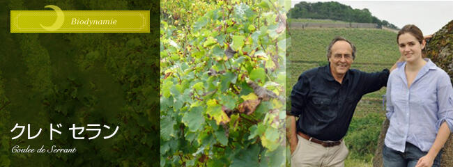 クレ ド セラン