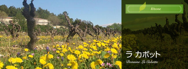 ラ　カボット
