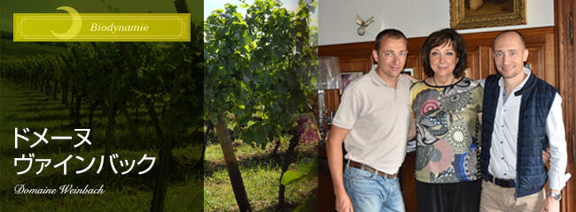 ドメーヌ ヴァインバック