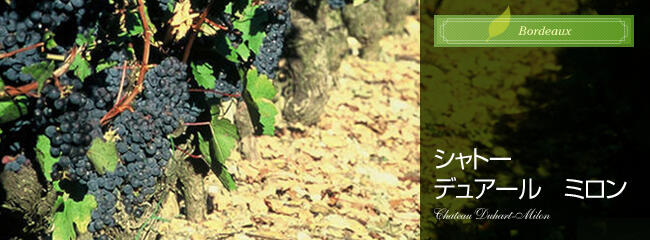 シャトー デュアール ミロン | ワイナリー情報 | ファインズ