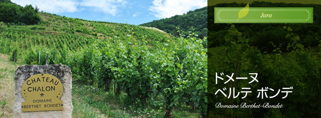 ドメーヌ ベルテ ボンデ