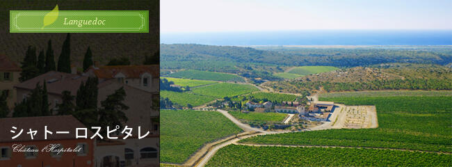 シャトー ロスピタレ