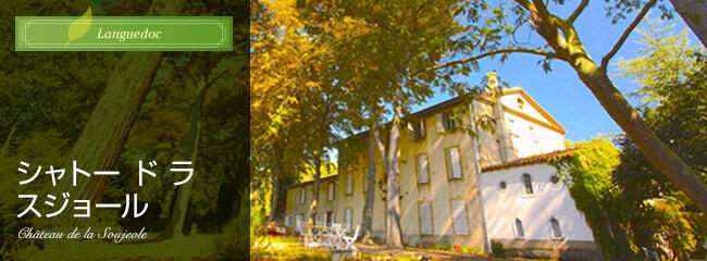 シャトー ド ラ スジョール