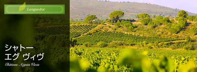 シャトー エグ ヴィヴ