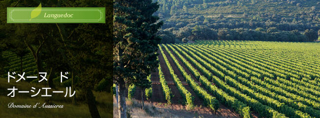 ドメーヌ ド オーシエール