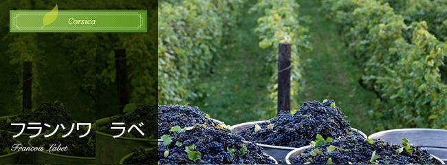 フランソワ ラベ