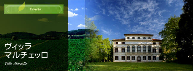 ヴィッラ マルチェッロ
