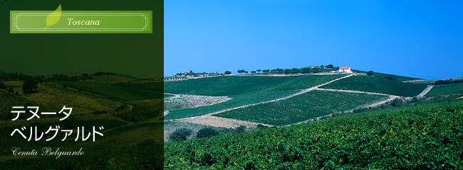 テヌータ ベルグァルド
