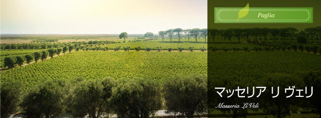 マッセリア リ ヴェリ