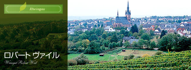 ロバート　ヴァイル