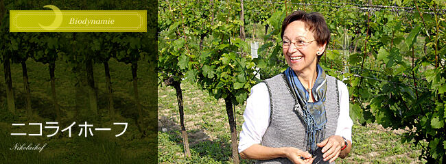 ニコライホーフ