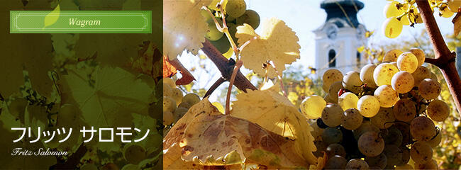 フリッツ サロモン