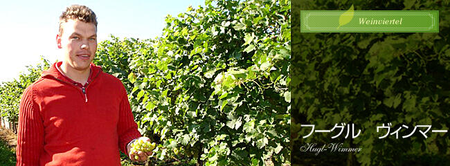 フーグル　ヴィンマー