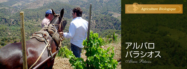 アルバロ　パラシオス