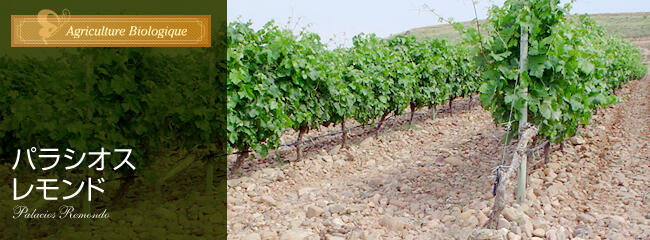 パラシオス レモンド