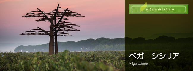 ベガ シシリア | ワイナリー情報 | ファインズ