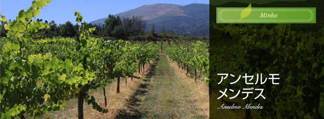 アンセルモ メンデス