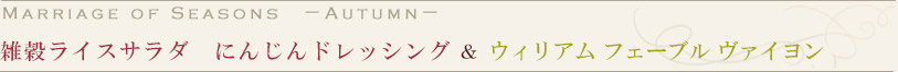 GCXT_@ɂ񂶂hbVO@@EBA@tF[u @C